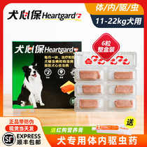 Insecticide pet dog in vivo anthelmintic method fighting Teddy deworming drug deworming tablet medium number 11-22kg whole box