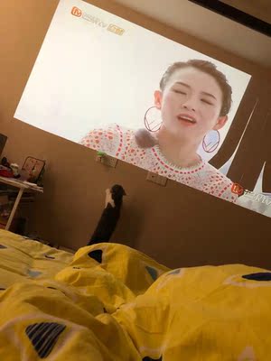 目前看来同事看中天猫魔屏S2投影仪，有人知道这个质量怎么样吗？