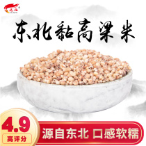 Yunfu northeast peeling red sorghum 500g Heilongjiang sticky sorghum grains can be brewed