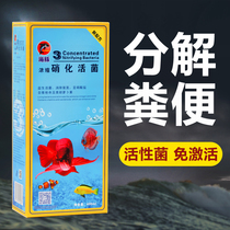 Dolphin nitrifying bacteria water quality stabilizer goldfish insecticide fish medicine koi potion fish tank water purifier to treat rotten tail