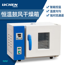 Lichen technology small oven Electric constant temperature blast drying oven Laboratory industrial oven Tea herbal drying box