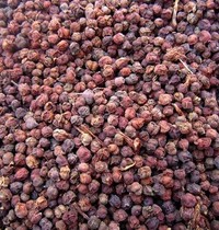 Shizandra 500 gr Post-mail South Schisandra berry Shizandra Berry Granules Fresh Dry Stock