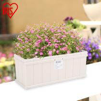 Alice rectangular planting channel long pot planting cauliflower imitation fence resin creative plastic flower pot