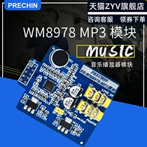 Pu Zhongzhong WM8978 MP3 module with MCM 32 music player module