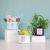 Nordic flower pot flower shop decoration cactus flower rack container Wrought iron creative simulation flower bucket Living room TV cabinet ornaments