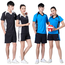Air volleyball suit suit Mens and womens quick-drying air competition custom training team uniform group purchase printed word printed number