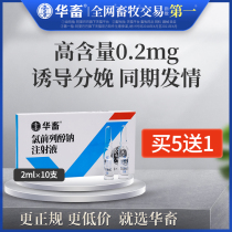 Chinese animal veterinary drug chlorproprost alcohol sodium injection induced delivery in the same period of oestrus cattle and sheep medicine veterinary drug