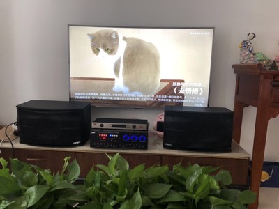 如何评价B&O Beoplay A9 3rd 三代星辰蓝牙音箱怎么样，音质真的好吗？