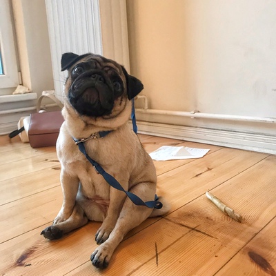 挺不错，以前在淘宝上买东西，都是系统自动好评的，花了有好多好多钱，后来才知道淘宝评论得积分可以涨淘气值时，才知道评论的重要性，所以以后无论买什么东西，我都先把这段话复制粘贴下来，然后再写宝贝评论，没错，评论80个字以上就可以获得50个积分。