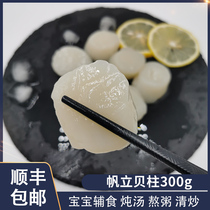 Fanli shellfish column Japanese Hokkaido scallop large Antarctic fresh frozen fan scallop sashimi Baby Supplement 300g