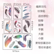 Childrens tattoo stickers custom girl feather wrist clavicle ankle scar waterproof sticker buy one get one free