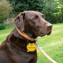 Clearance UK ROSEWOOD Leather collar Traction rope Traction belt Dog rope Dog chain Reflective dog collar