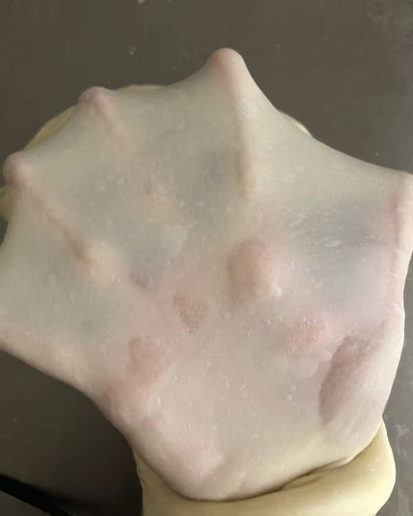 倍科厨师机K2评分差不差?