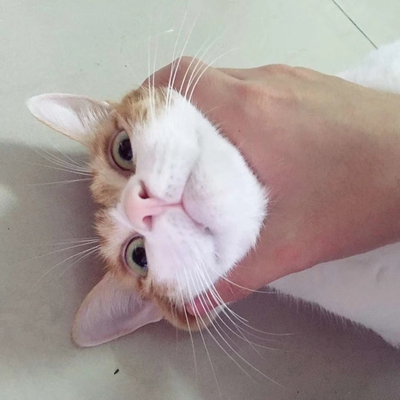 质量特别好。穿着很舒服