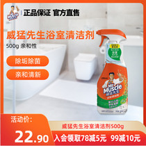 Mr Meng Bathroom Cleaner Descale Cleaning Tile Bathtub Faucet Dirt Home 500g Affinity