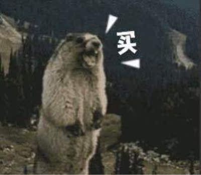 达人揭秘西昊电脑椅怎么样,西昊电脑椅质量到究竟如何,问题多吗