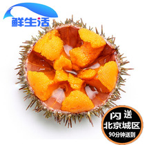 2 pairs of 1 Beijing flash to send fresh sea urchins horse dung guts Dalian seafood and aquatic ready-to-eat sashimi spot