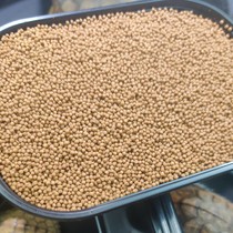 Pet turtle young turtle yellow Brazil opening for water turtle opening and normal consumption