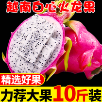 White heart dragon fruit 10kg fruit fresh season whole box red skin 5 white meat Guangxi tropical wholesale