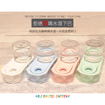 Garfield drinker special bowl elephant drinker flat face Persian English short cat with non-wet mouth anti-wet Chin