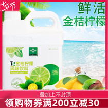 Fresh kumquat lemon juice concentrate 3kg beverage concentrate puree drink ingredients