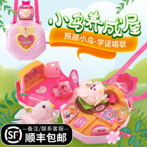 Cute little chicken to get into the house genuine toys Happy with the people Learn the birdie 61 Childrens Day Birthday present
