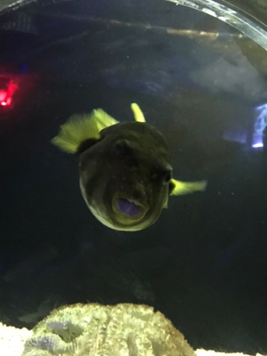 已经第二次回购了，  还是熟悉的味道  口感真是不错！？？