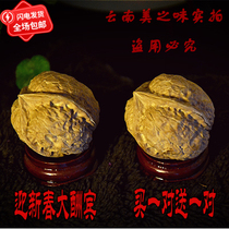 Buy a new piece of writing to play Yunnan wild old iron walnut special-shaped triangular ridge lion Toad head