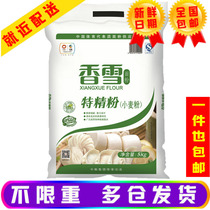 Xiangxue special flour Flour COFCO 5kg bread noodle steamed buns high gluten flour