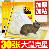 The sticky mouse plate strongly grasps the mouse the Big Mouse clip the mouse trap the mouse trap the home rodent artifact a nest end