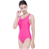 One-piece triangle swimsuit womens belly thin imitation shark skin breathable quick-drying sexy simple professional sports swimsuit