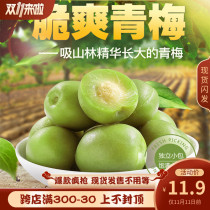Independent small bag of green crispy plum crisp and refreshing Plum Green mouth mete crunchy green plum candied fruit 500g