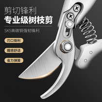 Jiazu fruit tree pruning scissors garden garden pruning branches and cutting household strong scissors magic weapon flower pruning scissors