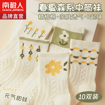 Antarctic socks female short-tube female in spring and autumn cotton socks and summer thin summer stockings anti-odor cute