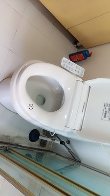 向大家咨询下西屋纤薄智能马桶盖怎么样??一个月使用彻底后悔吗!