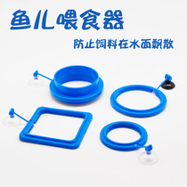 Water group feeder fish tank feeding ring feeding oesophageal feeding basin tropical fish crystal shrimp glass feeding oesophageal red worm cup