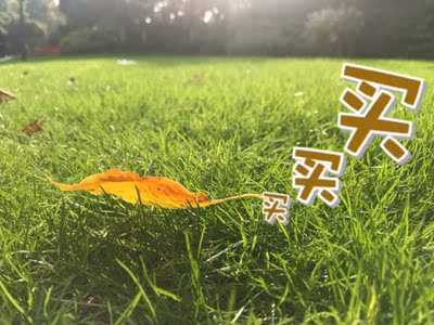 面料柔软舒适透气,款式大方实用,非常适合十几岁的小女生。因为孩子说穿得很舒服,所以趁双十一购物狂欢节活动期间再次购买几年囤货!图片就不方便上传了。 面料柔软舒适透气,款式大方实用,非常适合十几岁的小女生。因为孩子说穿得很舒服,所以趁双十一购物狂欢节活动期间再次购买几年囤货!图片就不方便上传了。