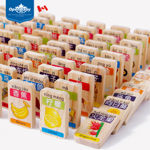 Dominoes childrens educational toys baby pinyin Chinese characters cognition building blocks primary school students organs