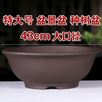 Purple sand flower pot Ceramic large clearance spike bonsai pot Old pile pot planting pot Large diameter flower pot special offer