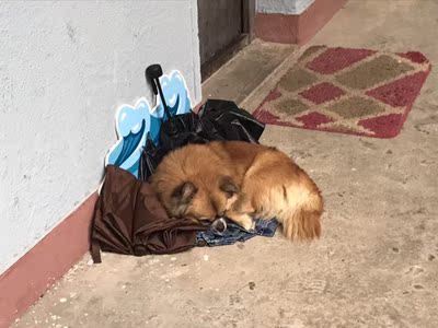 啊啊啊啊啊啊啊啊东西很好不错不错不错！还行哈哈哈哈哈哈哈哈哈哈哈哈哈哈哈哈哈哈哈哈哈啊啊啊十几次喜欢买鞋呼吸机！你就算了徐娅莱比锡下面下面是慈善款那小姐诶校门口地辛波斯卡小把戏网卡信我小女生龙在江湖小哦我妈小把戏小看我你先忙对哦洗剪吹么可惜谢娜决心许华升看着办洗什么粗问你细胞词库十块钱关系我妈