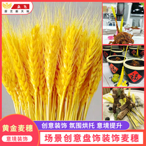 Plate decoration dish Golden wheat ear Dry wheat ear Rice ear Creative ingredients set inventory with green wheat ear plate decoration 50 pieces