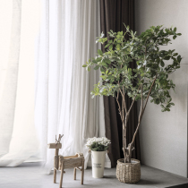 Simulation plant decoration fortune tree green plant money money fortune tree large plant indoor home living room floor decoration