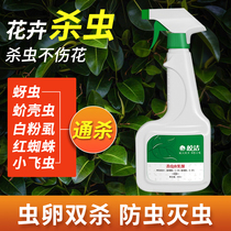 Bright insecticide plant flower aphid small flying insect killing artifact Crab Flower rose potted household pest killing