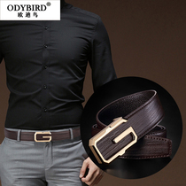 Oedibird ODYBIRD Belt Man Genuine Leather Business Nameplate Smooth Buckle Belt Luxury Bull Leather Youth Pants Strap