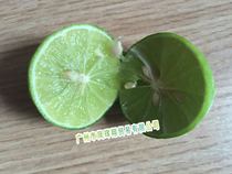 Green lemon thin and juicy fresh lemon winter Yin Gong Thai food seasoning 1