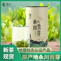 Yunsheng 2021 early spring new tea Chongqing Yongchuan Xiuya green tea can cold bubble Maofeng Maojian tea 240g