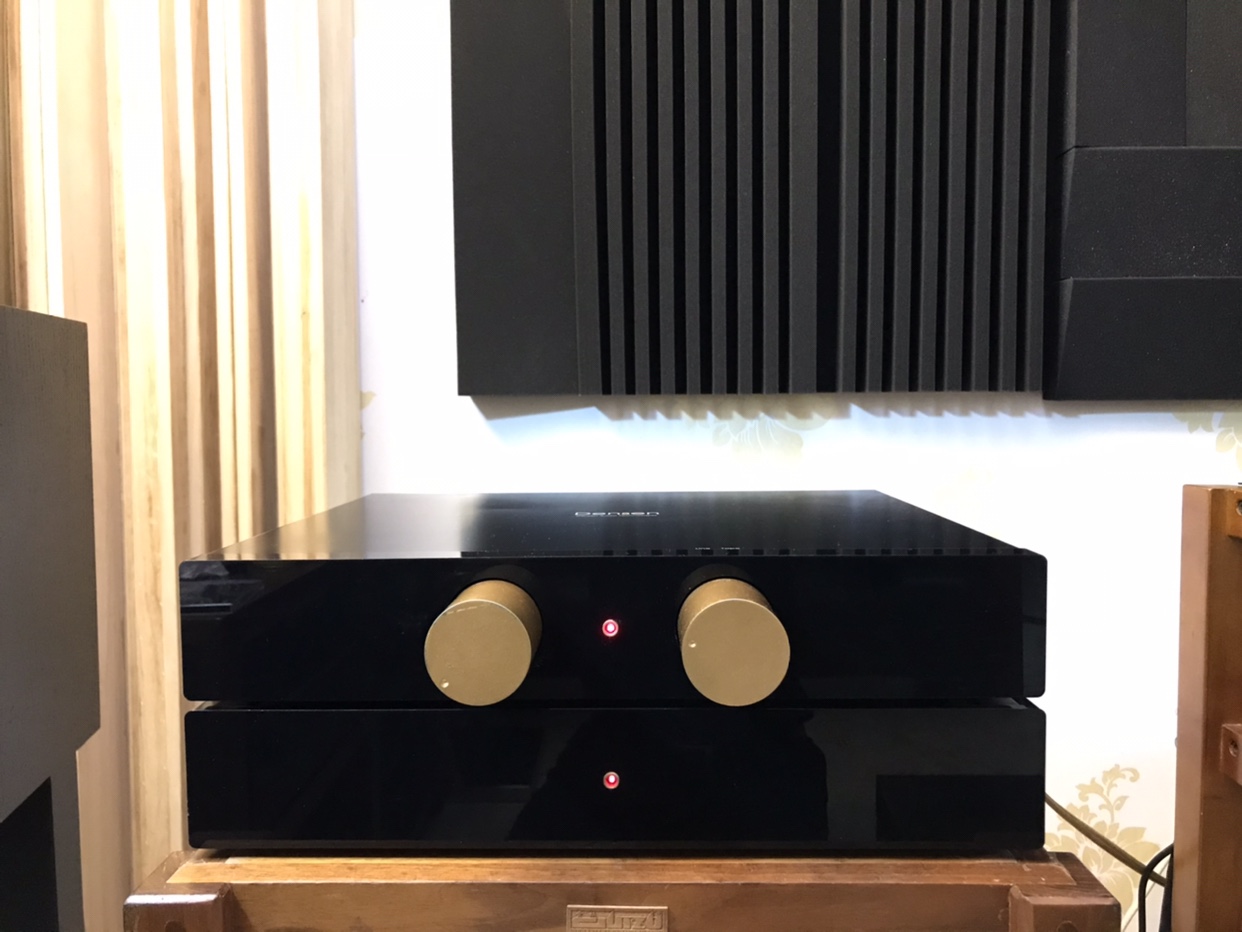 丹麦原产丹麦王子dm20 dm30前后级发烧功放!已出