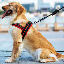 Large dog cushioning chest strap Dog chain traction rope Golden Retriever Shiba Inu Corgi bucket Pet supplies Dog walking rope