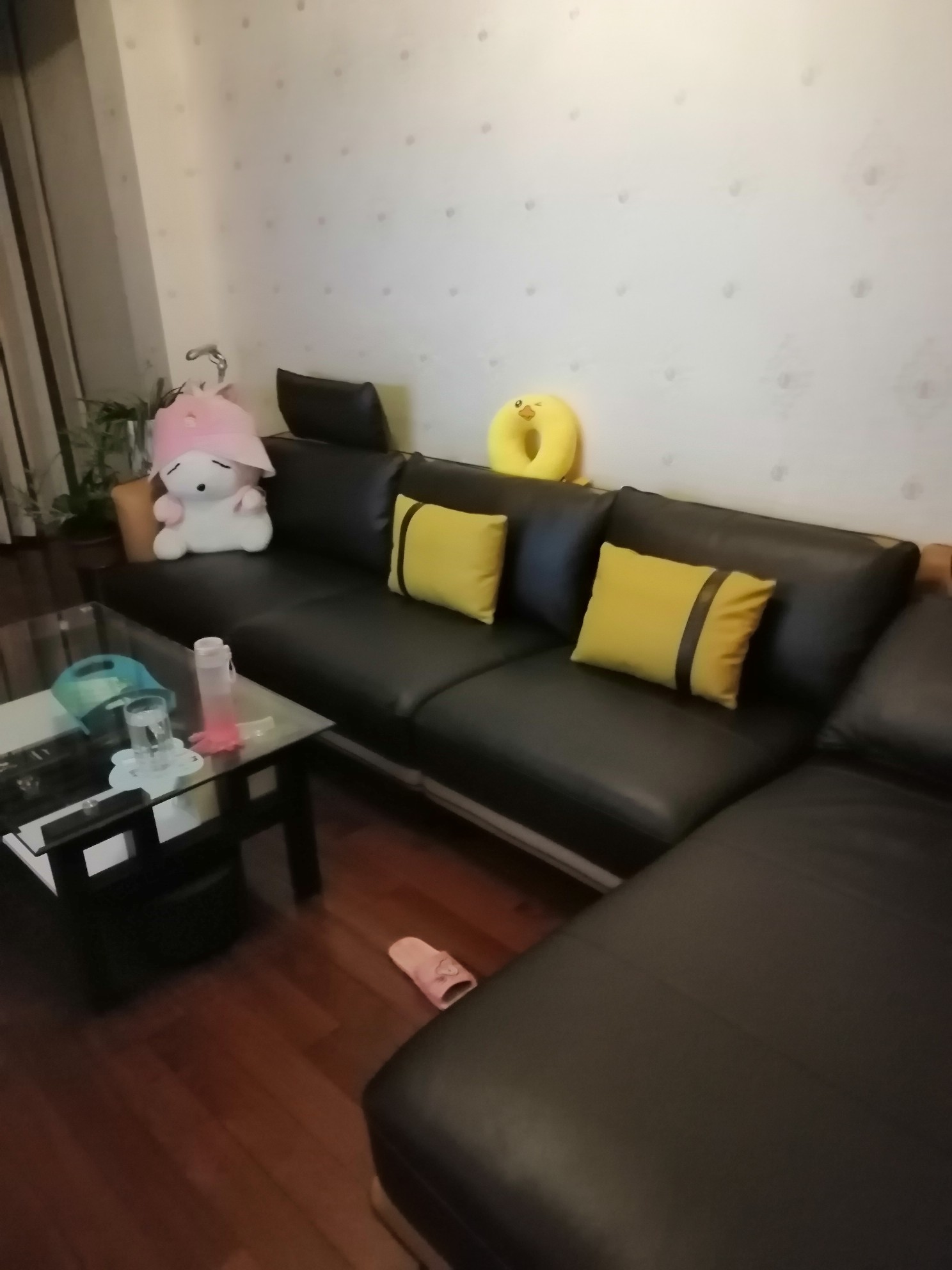 艾慕真皮沙发慕思买了快半年说说