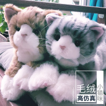 Plush toy emulation kitty kitty short English short Tarot cat sends girlfriend goddess